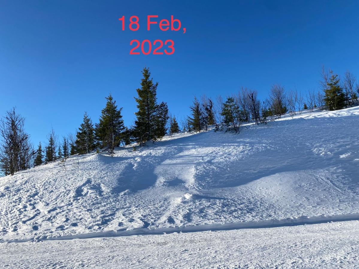 Perfect Moutain Getaway! Beautiful Apartment At Skagahogdi With Panoramic View Gol Exteriör bild