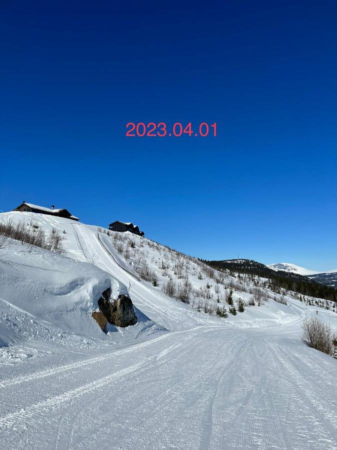Perfect Moutain Getaway! Beautiful Apartment At Skagahogdi With Panoramic View Gol Exteriör bild