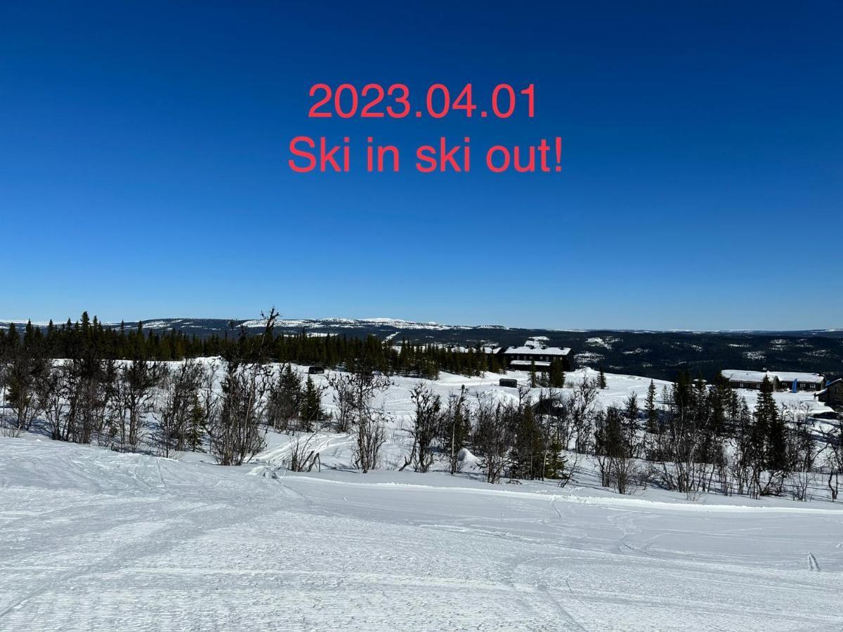 Perfect Moutain Getaway! Beautiful Apartment At Skagahogdi With Panoramic View Gol Exteriör bild