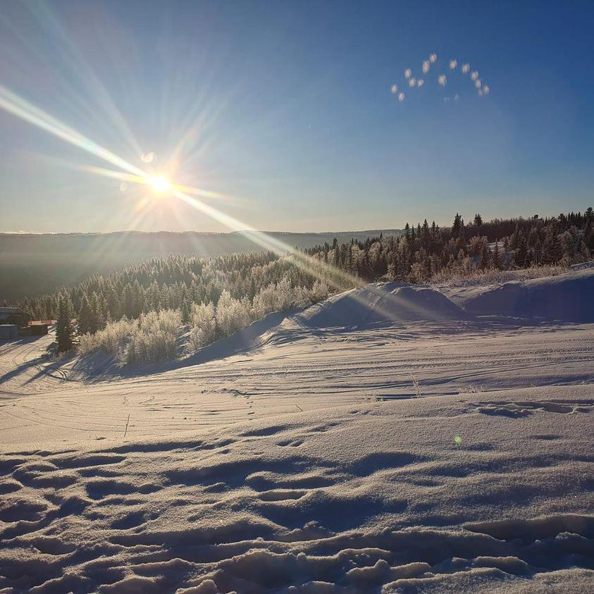 Perfect Moutain Getaway! Beautiful Apartment At Skagahogdi With Panoramic View Gol Exteriör bild